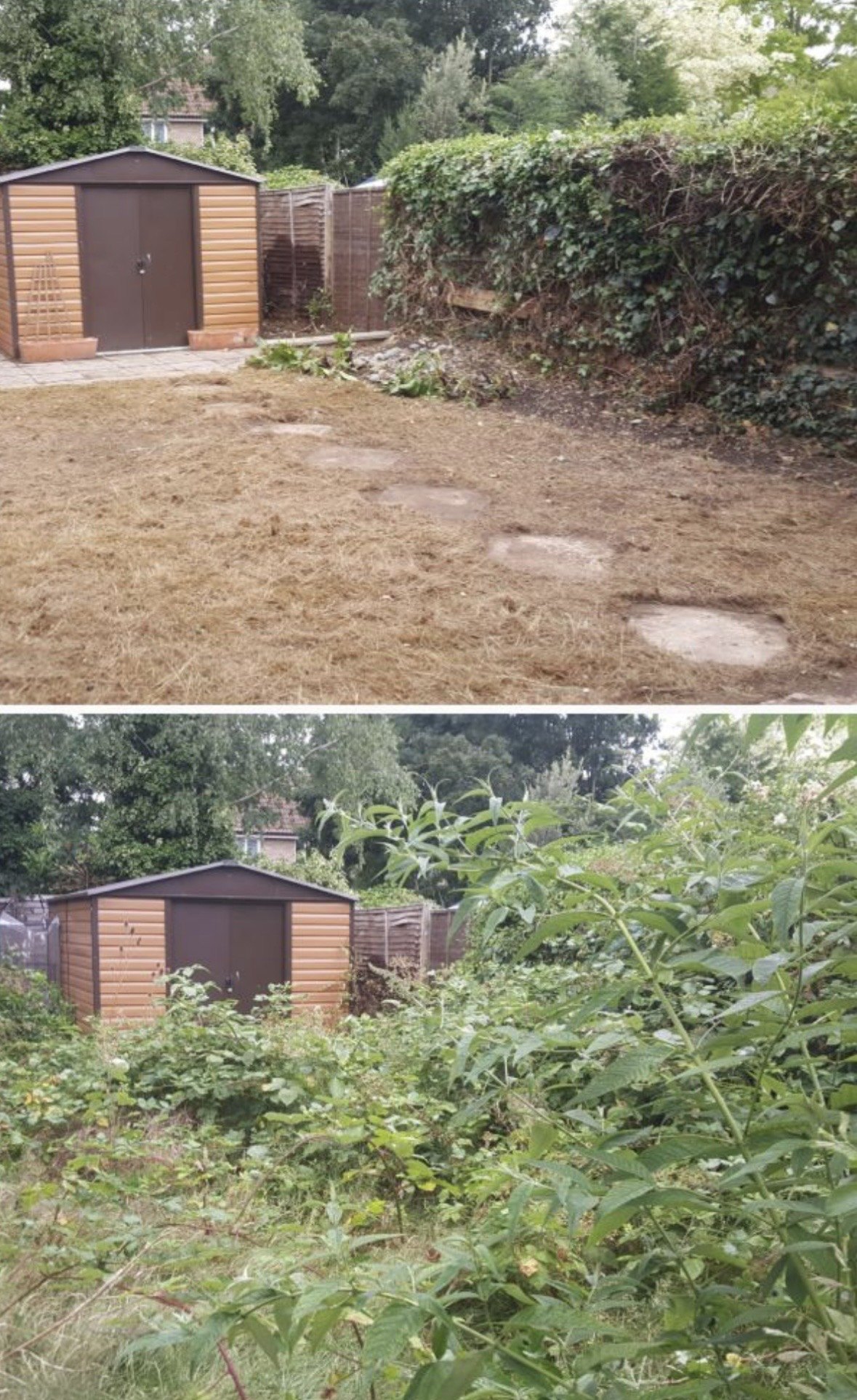Garden maintenance before and after clearance