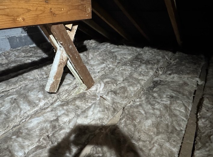 Loft insulation reinstated
